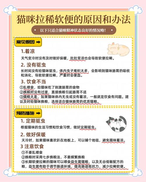 猫咪得了肠胃炎怎么办_猫咪得肠胃炎怎么调理-第6张图片-后鲨宠物 猫咪得了肠胃炎怎么办_猫咪得肠胃炎怎么调理-第6张图片-后鲨宠物