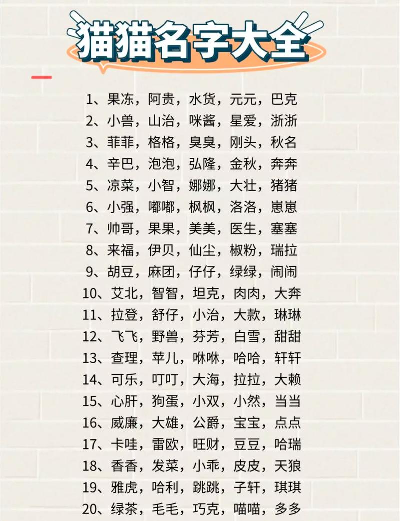 霸气的猫咪名字_霸气的猫咪名字女猫-第2张图片-后鲨宠物 霸气的猫咪名字_霸气的猫咪名字女猫-第2张图片-后鲨宠物