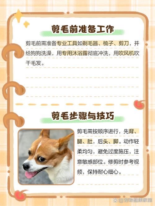 新手怎么给狗狗剪毛_狗剃毛-第5张图片-后鲨宠物 新手怎么给狗狗剪毛_狗剃毛-第5张图片-后鲨宠物