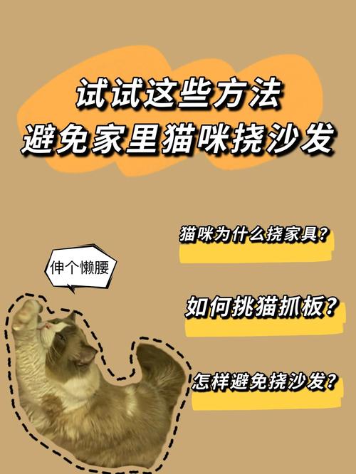 猫咪抓沙发怎么办,猫咪抓沙发怎么办?-第3张图片-后鲨宠物 猫咪抓沙发怎么办,猫咪抓沙发怎么办?-第3张图片-后鲨宠物