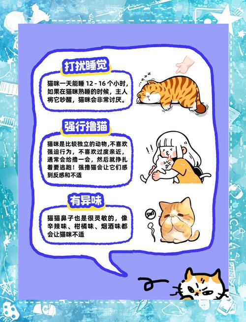 猫咪不理人怎么办_猫不爱理人-第4张图片-后鲨宠物 猫咪不理人怎么办_猫不爱理人-第4张图片-后鲨宠物