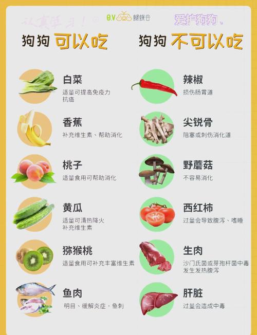 给狗狗吃什么有营养,给狗狗吃什么营养品能提高免疫力-第4张图片-后鲨宠物 给狗狗吃什么有营养,给狗狗吃什么营养品能提高免疫力-第4张图片-后鲨宠物