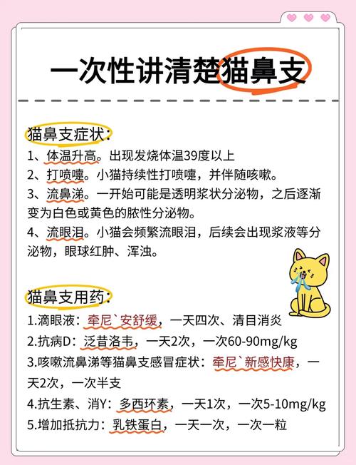 猫咪得了猫鼻支怎么办,猫咪得了猫鼻支严重吗-第2张图片-后鲨宠物 猫咪得了猫鼻支怎么办,猫咪得了猫鼻支严重吗-第2张图片-后鲨宠物