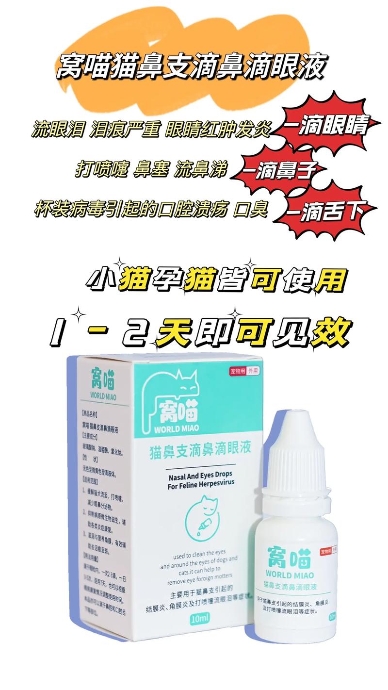 猫咪得了猫鼻支怎么办,猫咪得了猫鼻支严重吗-第5张图片-后鲨宠物 猫咪得了猫鼻支怎么办,猫咪得了猫鼻支严重吗-第5张图片-后鲨宠物