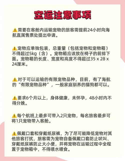 猫咪能坐飞机吗_猫咪能坐飞机吗现在