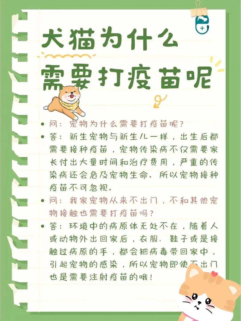 猫咪什么时候打狂犬疫苗,猫抓伤一定要打狂犬疫苗吗?-第5张图片-后鲨宠物 猫咪什么时候打狂犬疫苗,猫抓伤一定要打狂犬疫苗吗?-第5张图片-后鲨宠物