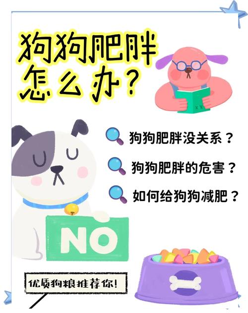 狗狗能吃肥肉吗,狗狗可以吃点肥肉吗?-第4张图片-后鲨宠物 狗狗能吃肥肉吗,狗狗可以吃点肥肉吗?-第4张图片-后鲨宠物