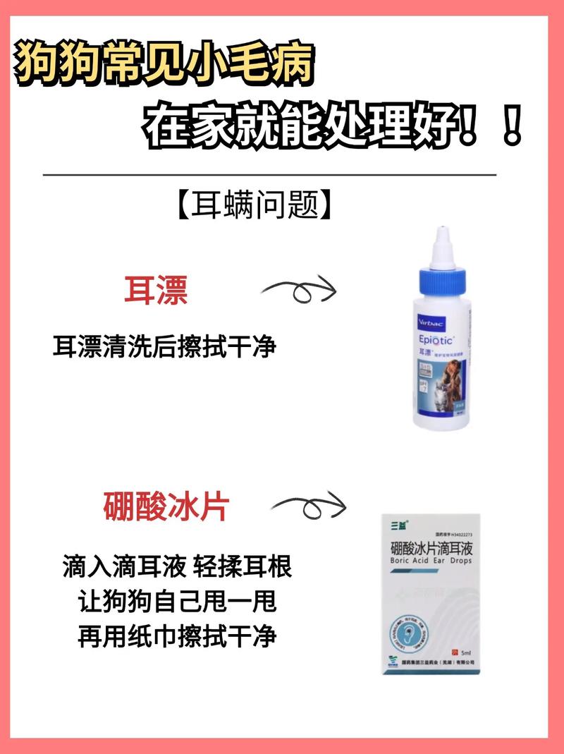 狗狗能用红霉素眼膏吗,狗狗可以用红霉素眼药水吗?-第5张图片-后鲨宠物 狗狗能用红霉素眼膏吗,狗狗可以用红霉素眼药水吗?-第5张图片-后鲨宠物