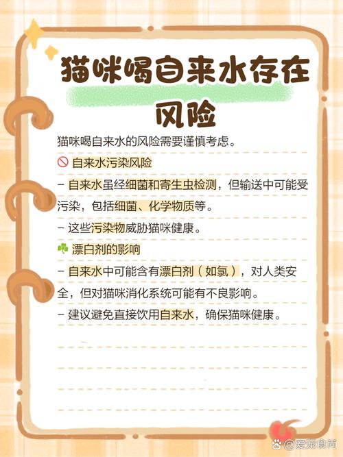 猫咪喝自来水会怎么样,猫咪喝自来水怎么办?-第5张图片-后鲨宠物 猫咪喝自来水会怎么样,猫咪喝自来水怎么办?-第5张图片-后鲨宠物