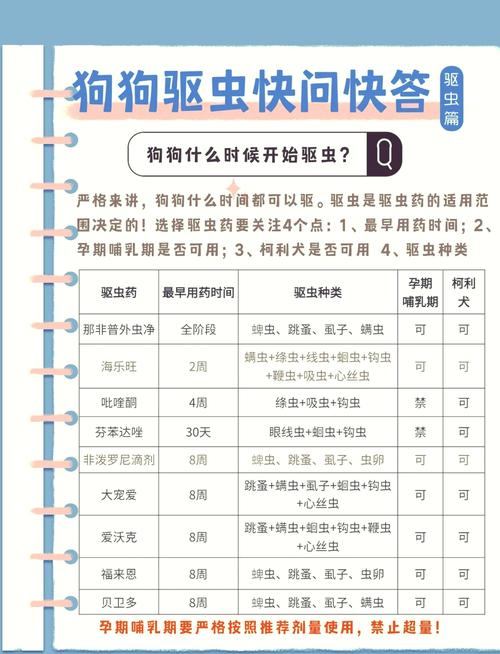 狗狗几个月驱虫一次,狗狗两个月可以驱虫吗?-第1张图片-后鲨宠物 狗狗几个月驱虫一次,狗狗两个月可以驱虫吗?-第1张图片-后鲨宠物