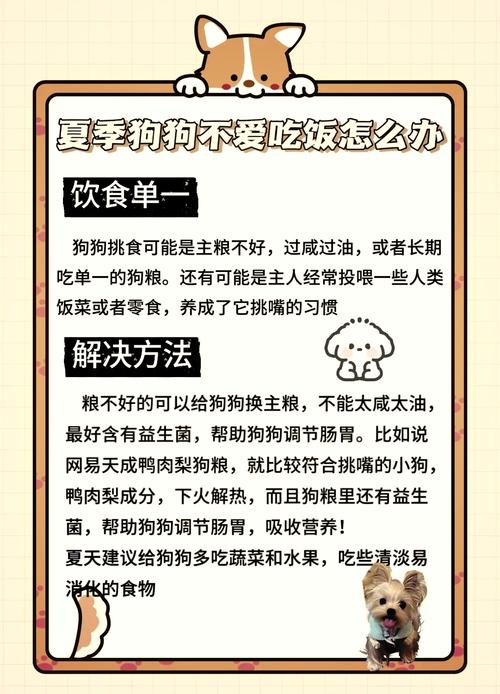 狗狗积食怎么办,狗积食有几天能好-第5张图片-后鲨宠物 狗狗积食怎么办,狗积食有几天能好-第5张图片-后鲨宠物