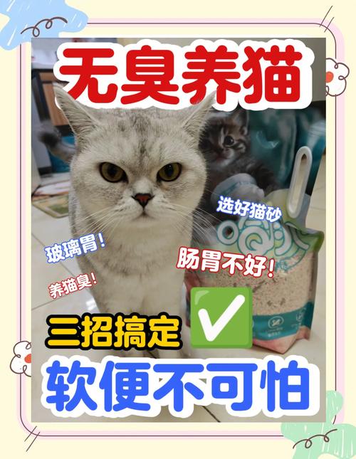 猫咪一直拉稀怎么办_猫咪一直拉稀但是有没其他状况-第1张图片-后鲨宠物 猫咪一直拉稀怎么办_猫咪一直拉稀但是有没其他状况-第1张图片-后鲨宠物