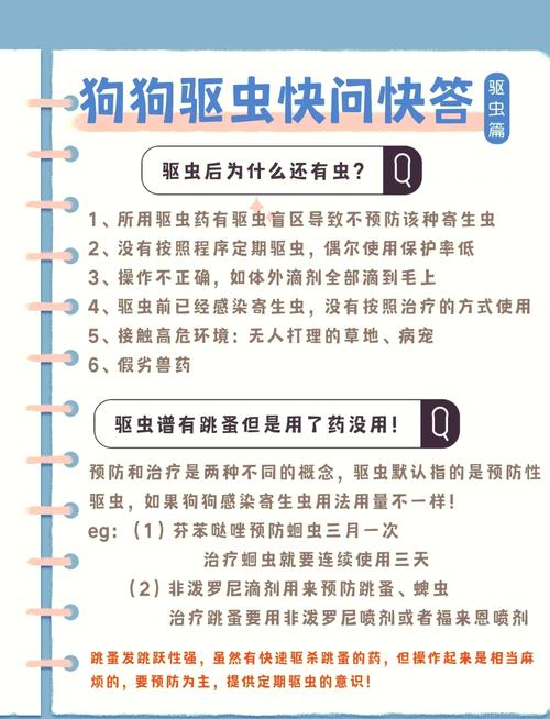 狗狗怀孕可以体内驱虫吗,狗狗怀孕可以驱虫不?-第3张图片-后鲨宠物 狗狗怀孕可以体内驱虫吗,狗狗怀孕可以驱虫不?-第3张图片-后鲨宠物