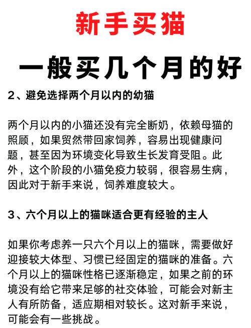猫咪几个月算成猫,猫8个月是成猫还是幼猫-第5张图片-后鲨宠物 猫咪几个月算成猫,猫8个月是成猫还是幼猫-第5张图片-后鲨宠物
