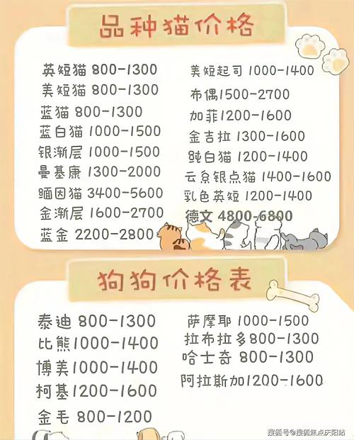 猫咪配种怎么收费_猫咪配种收费吗-第4张图片-后鲨宠物 猫咪配种怎么收费_猫咪配种收费吗-第4张图片-后鲨宠物