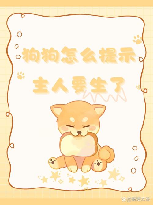 狗狗临产前的症状,狗狗临产前几天的征兆全面的介绍?-第1张图片-后鲨宠物 狗狗临产前的症状,狗狗临产前几天的征兆全面的介绍?-第1张图片-后鲨宠物