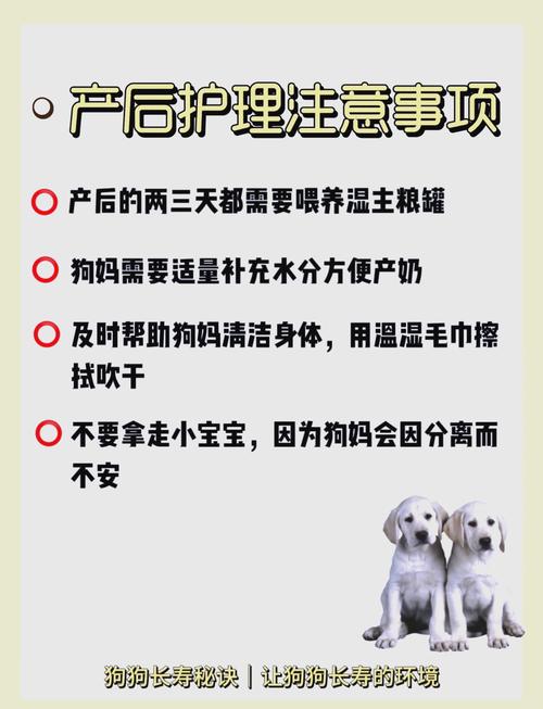 狗狗临产前的症状,狗狗临产前几天的征兆全面的介绍?-第4张图片-后鲨宠物 狗狗临产前的症状,狗狗临产前几天的征兆全面的介绍?-第4张图片-后鲨宠物