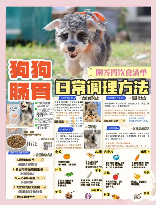 狗狗吃什么对肠胃好,狗狗不吃饭警惕四种病?-第4张图片-后鲨宠物 狗狗吃什么对肠胃好,狗狗不吃饭警惕四种病?-第4张图片-后鲨宠物