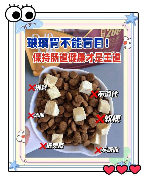 狗狗吃什么对肠胃好,狗狗不吃饭警惕四种病?-第5张图片-后鲨宠物 狗狗吃什么对肠胃好,狗狗不吃饭警惕四种病?-第5张图片-后鲨宠物