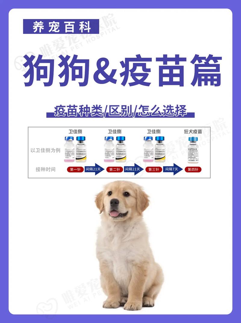 狗狗第二年疫苗怎么打_狗狗第二年接种疫苗的时间-第4张图片-后鲨宠物 狗狗第二年疫苗怎么打_狗狗第二年接种疫苗的时间-第4张图片-后鲨宠物