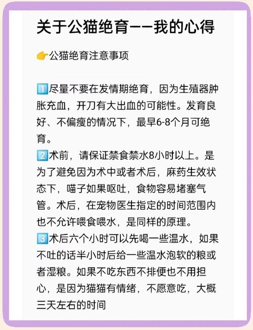 猫咪绝育需要准备什么_公猫一般建不建议做绝育-第1张图片-后鲨宠物 猫咪绝育需要准备什么_公猫一般建不建议做绝育-第1张图片-后鲨宠物