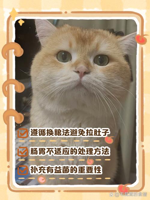 换猫粮猫咪拉稀怎么办_猫换粮拉稀会自愈吗-第2张图片-后鲨宠物 换猫粮猫咪拉稀怎么办_猫换粮拉稀会自愈吗-第2张图片-后鲨宠物