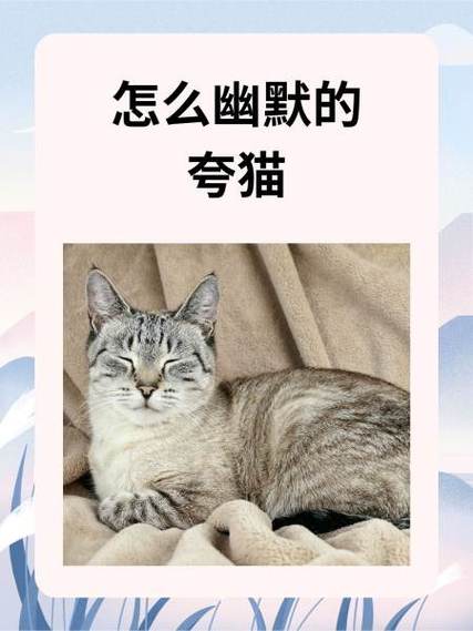 最可爱的猫咪排名前十,最可爱得猫?-第4张图片-后鲨宠物 最可爱的猫咪排名前十,最可爱得猫?-第4张图片-后鲨宠物
