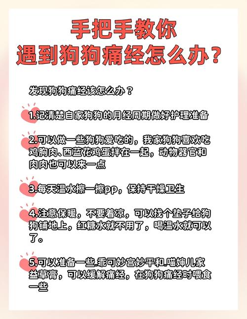 狗狗肚子疼的表现_狗狗胀肚子最快的解决方法-第4张图片-后鲨宠物 狗狗肚子疼的表现_狗狗胀肚子最快的解决方法-第4张图片-后鲨宠物