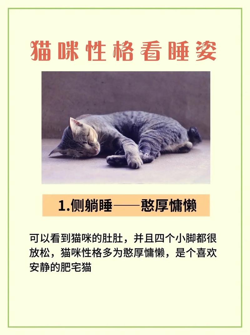 猫咪睡觉哼哼唧唧,猫咪睡觉哼哼唧唧的是为什么?-第2张图片-后鲨宠物 猫咪睡觉哼哼唧唧,猫咪睡觉哼哼唧唧的是为什么?-第2张图片-后鲨宠物