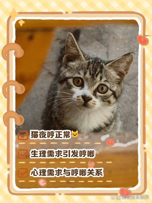 猫咪睡觉哼哼唧唧,猫咪睡觉哼哼唧唧的是为什么?-第3张图片-后鲨宠物 猫咪睡觉哼哼唧唧,猫咪睡觉哼哼唧唧的是为什么?-第3张图片-后鲨宠物