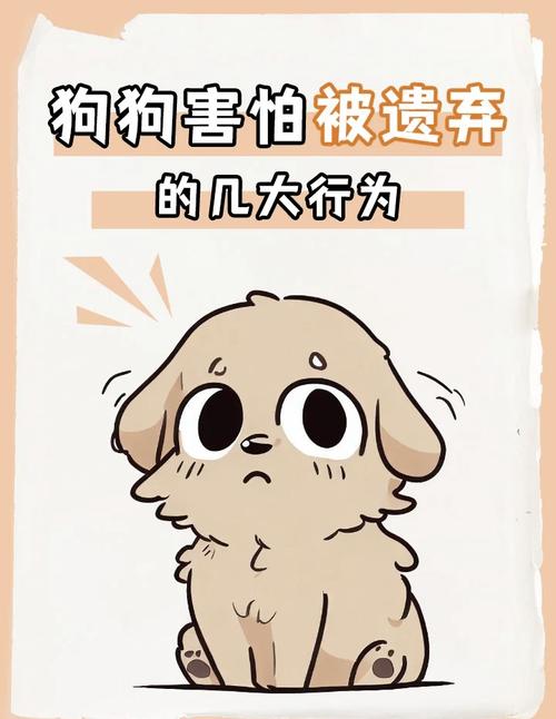 狗狗缺乏安全感的表现,狗狗没有安全感的原因-第6张图片-后鲨宠物 狗狗缺乏安全感的表现,狗狗没有安全感的原因-第6张图片-后鲨宠物