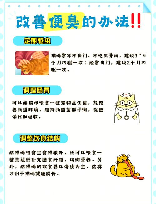 猫咪拉屎很臭怎么办,猫咪拉屎特别臭?-第1张图片-后鲨宠物 猫咪拉屎很臭怎么办,猫咪拉屎特别臭?-第1张图片-后鲨宠物