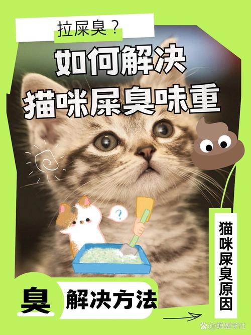 猫咪拉屎很臭怎么办,猫咪拉屎特别臭?-第3张图片-后鲨宠物 猫咪拉屎很臭怎么办,猫咪拉屎特别臭?-第3张图片-后鲨宠物