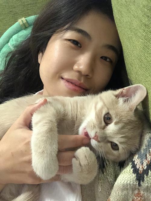  怎么看猫咪几个月了，怎么看猫咪几个月了没有生病-第4张图片-后鲨宠物