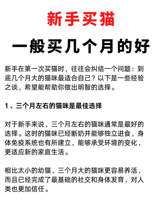  怎么看猫咪几个月了，怎么看猫咪几个月了没有生病-第5张图片-后鲨宠物