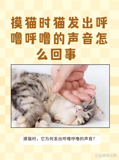 猫咪发出呼呼的声音,猫咪发出呼呼的声音,出气急促?-第6张图片-后鲨宠物 猫咪发出呼呼的声音,猫咪发出呼呼的声音,出气急促?-第6张图片-后鲨宠物