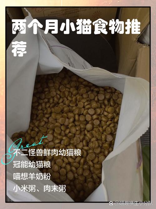 2个月猫咪吃什么,2月猫咪吃什么饭合适?-第1张图片-后鲨宠物 2个月猫咪吃什么,2月猫咪吃什么饭合适?-第1张图片-后鲨宠物