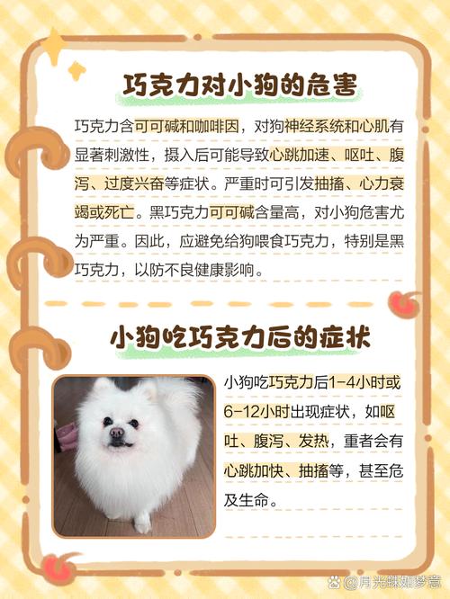 狗狗吃巧克力的症状，狗狗吃巧克力的症状有哪些？-第5张图片-后鲨宠物