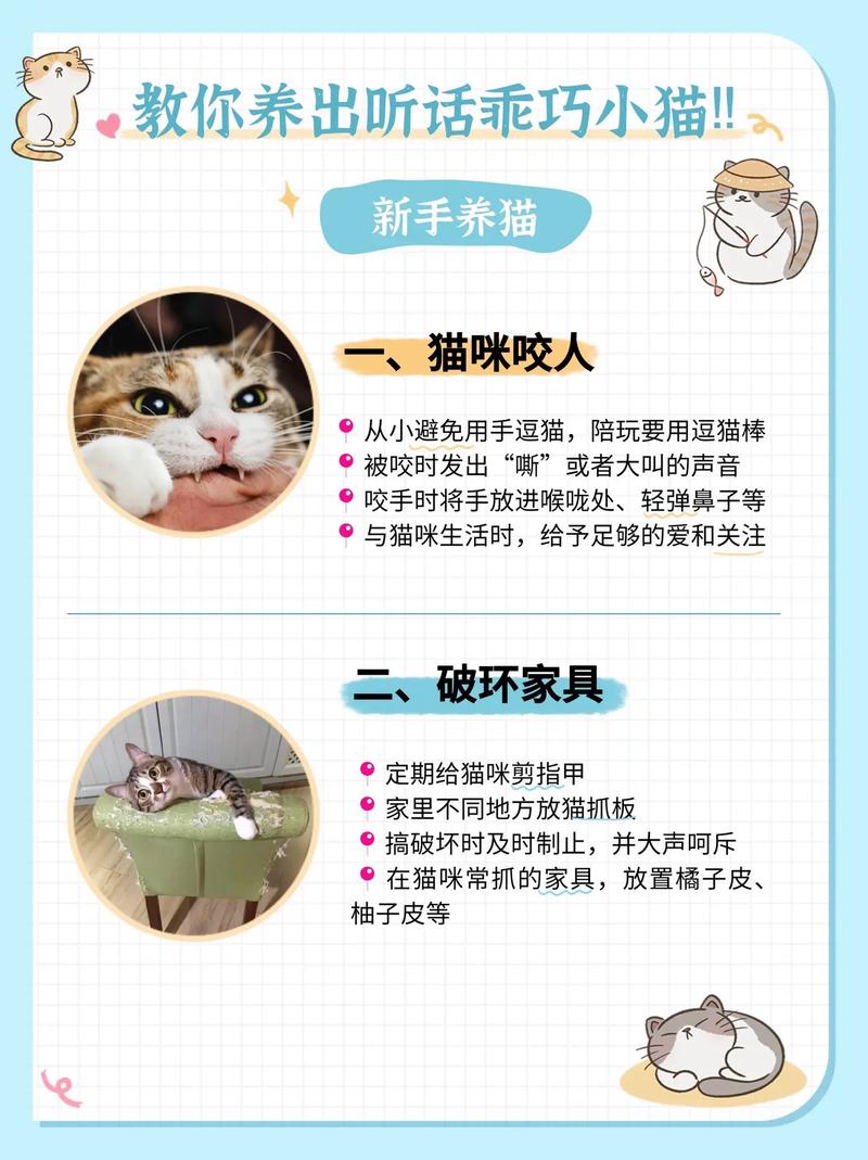 怎么让猫咪听话_怎么让猫咪听话又喜欢你还很粘人-第1张图片-后鲨宠物 怎么让猫咪听话_怎么让猫咪听话又喜欢你还很粘人-第1张图片-后鲨宠物