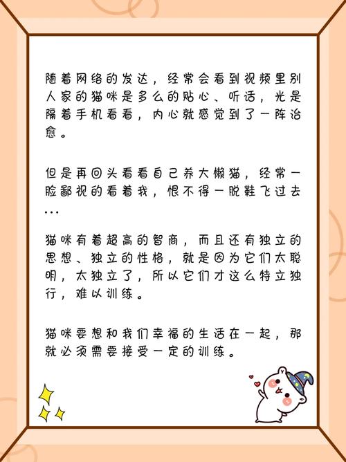 怎么让猫咪听话_怎么让猫咪听话又喜欢你还很粘人-第5张图片-后鲨宠物 怎么让猫咪听话_怎么让猫咪听话又喜欢你还很粘人-第5张图片-后鲨宠物
