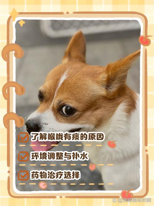 狗狗喉咙有痰怎么清除_狗狗喉咙里像有痰一样但其他都正常-第2张图片-后鲨宠物 狗狗喉咙有痰怎么清除_狗狗喉咙里像有痰一样但其他都正常-第2张图片-后鲨宠物