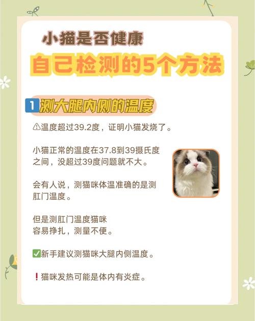 如何判断猫咪是否健康,如何看出猫咪是否健康?-第1张图片-后鲨宠物 如何判断猫咪是否健康,如何看出猫咪是否健康?-第1张图片-后鲨宠物