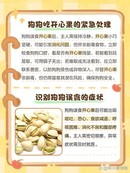 狗狗能吃开心果吗_狗狗能吃开心果吗会死吗-第5张图片-后鲨宠物 狗狗能吃开心果吗_狗狗能吃开心果吗会死吗-第5张图片-后鲨宠物