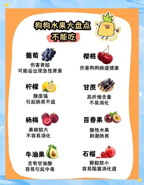 狗狗能吃开心果吗_狗狗能吃开心果吗会死吗-第6张图片-后鲨宠物 狗狗能吃开心果吗_狗狗能吃开心果吗会死吗-第6张图片-后鲨宠物