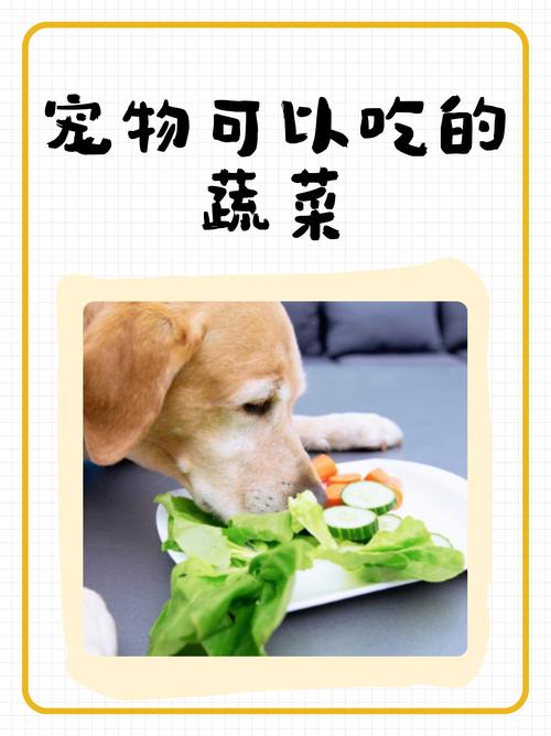 狗狗吃山芋好吗,狗狗可不可以吃山芋?-第5张图片-后鲨宠物 狗狗吃山芋好吗,狗狗可不可以吃山芋?-第5张图片-后鲨宠物