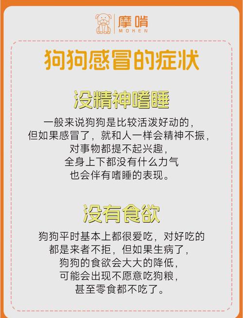 小狗狗感冒的症状_小狗感冒的时候的症状是什么-第2张图片-后鲨宠物 小狗狗感冒的症状_小狗感冒的时候的症状是什么-第2张图片-后鲨宠物