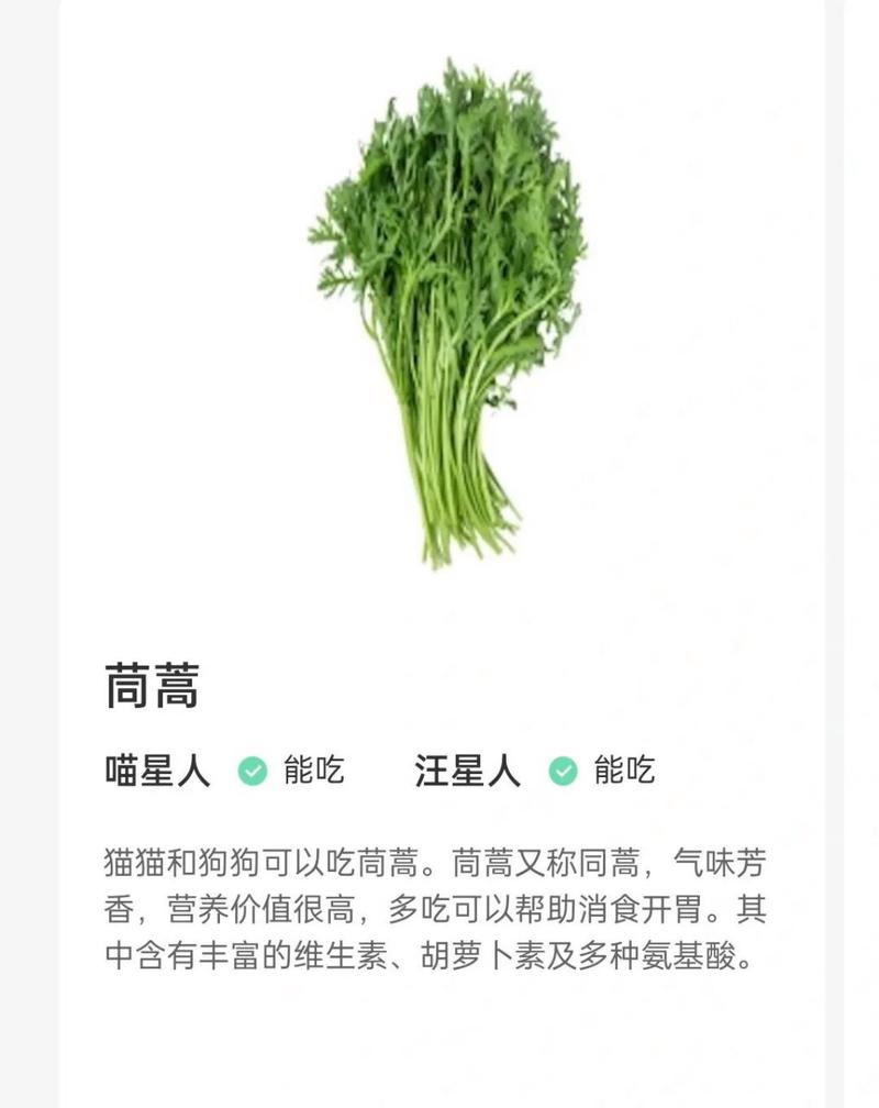 狗狗能吃茼蒿吗,狗狗能吃蒿子吗?-第1张图片-后鲨宠物 狗狗能吃茼蒿吗,狗狗能吃蒿子吗?-第1张图片-后鲨宠物