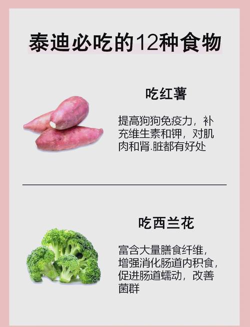 狗狗能吃茼蒿吗,狗狗能吃蒿子吗?-第3张图片-后鲨宠物 狗狗能吃茼蒿吗,狗狗能吃蒿子吗?-第3张图片-后鲨宠物