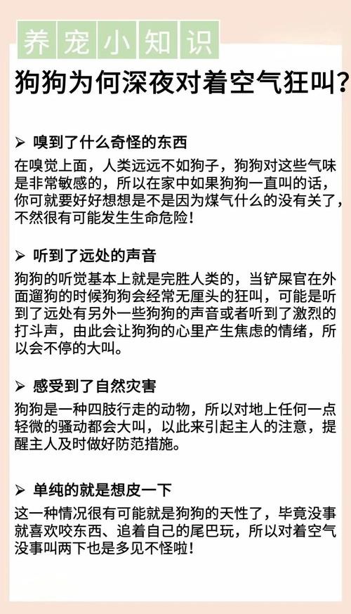 狗狗半夜叫怎么办,狗半夜叫怎么治-第6张图片-后鲨宠物 狗狗半夜叫怎么办,狗半夜叫怎么治-第6张图片-后鲨宠物