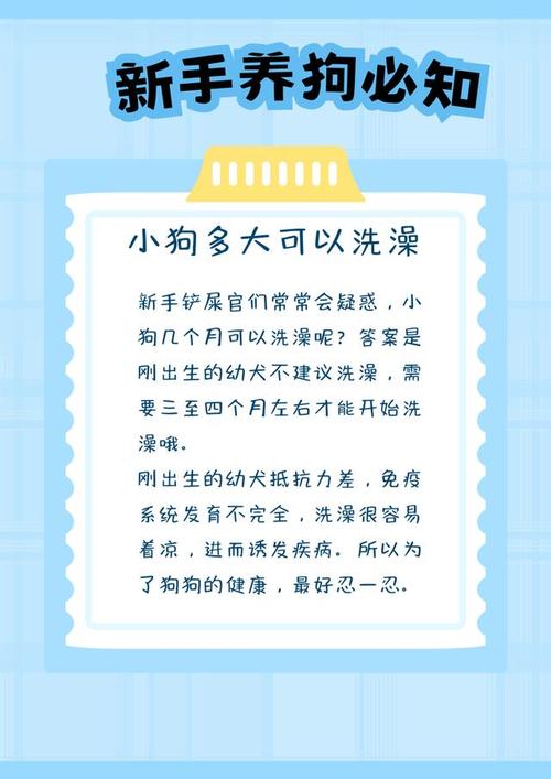 一个月的狗狗可以洗澡吗,一个月多的狗狗可以洗澡吗?-第2张图片-后鲨宠物 一个月的狗狗可以洗澡吗,一个月多的狗狗可以洗澡吗?-第2张图片-后鲨宠物
